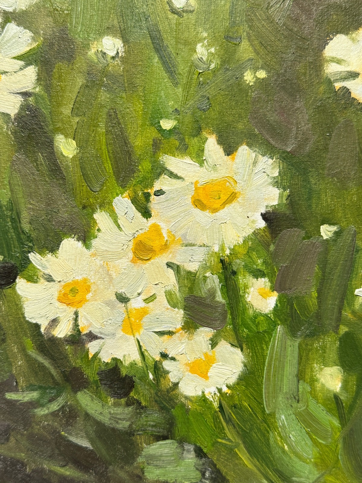 OIL PAINTING | Original art | Floral painting | White daisies | Impressionism