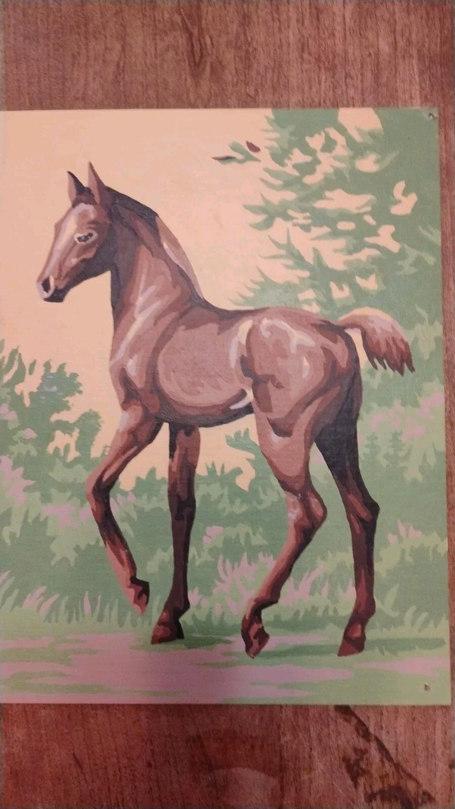 Vtg Paint By Number Colt Goal Painting 10 X 8