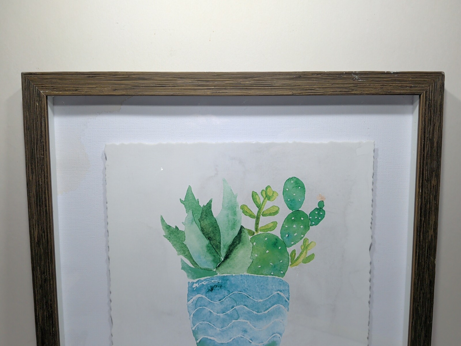 ✨New✨ Floating Framed Watercolor on Paper Succulents 14″X14″ – Framed Artwork
