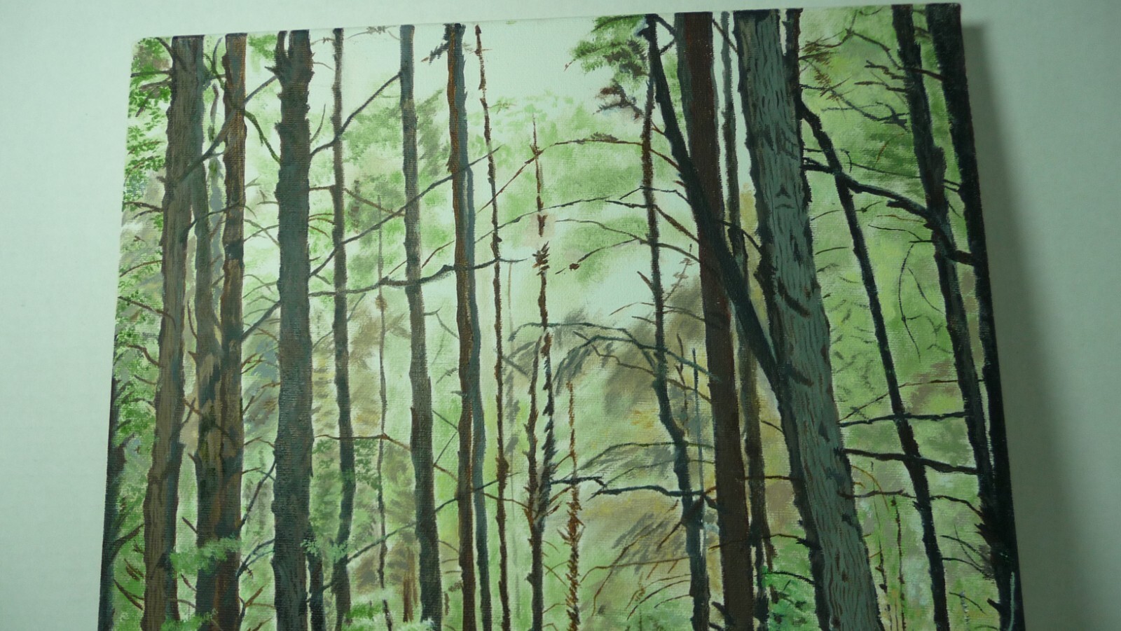 Oil Painting 16×12 Landscape By Catherine Johnston Silence Amongst The Trees 02