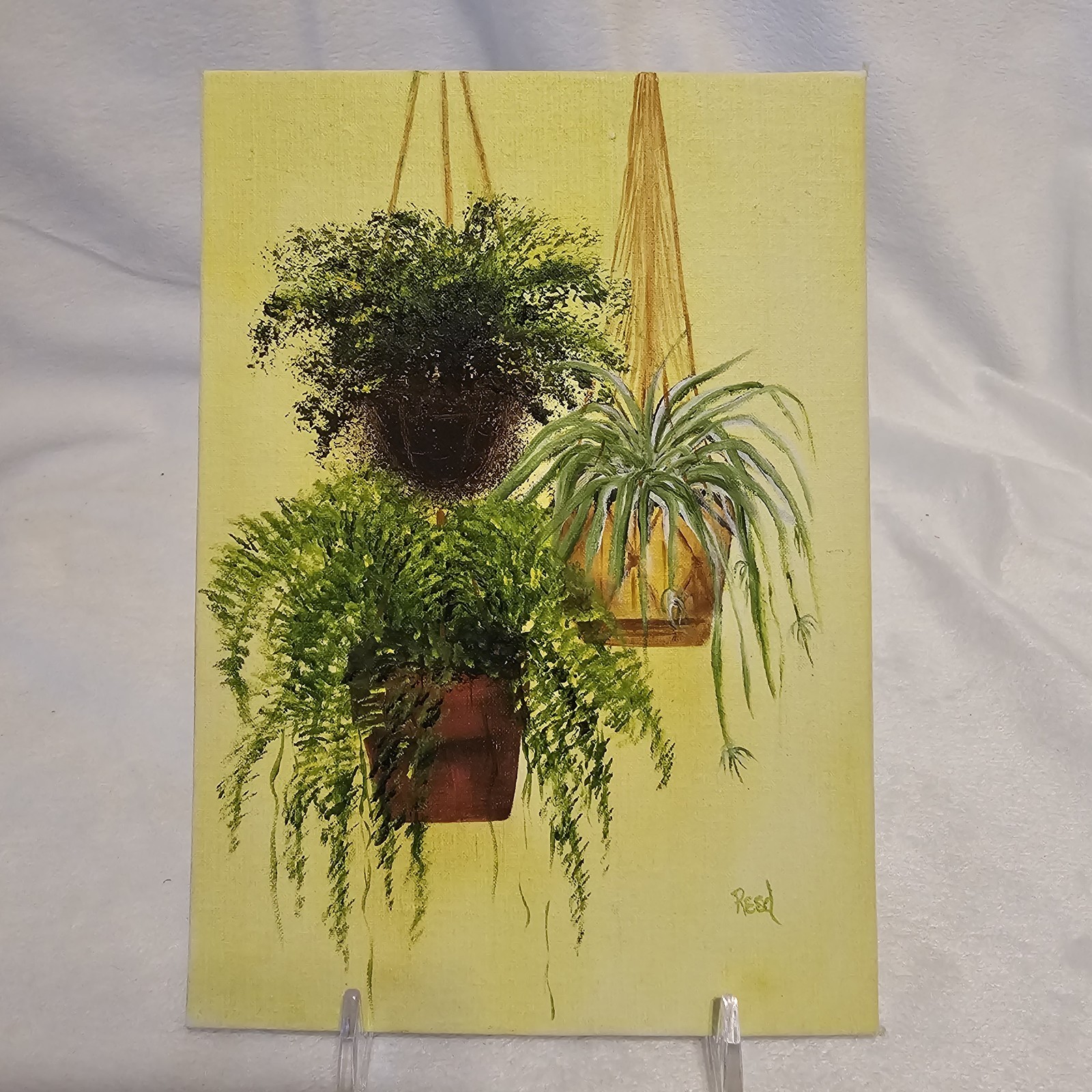 Still Life Hanging Plants Painting On Canvas 5x7in Artist Signed Stand Included