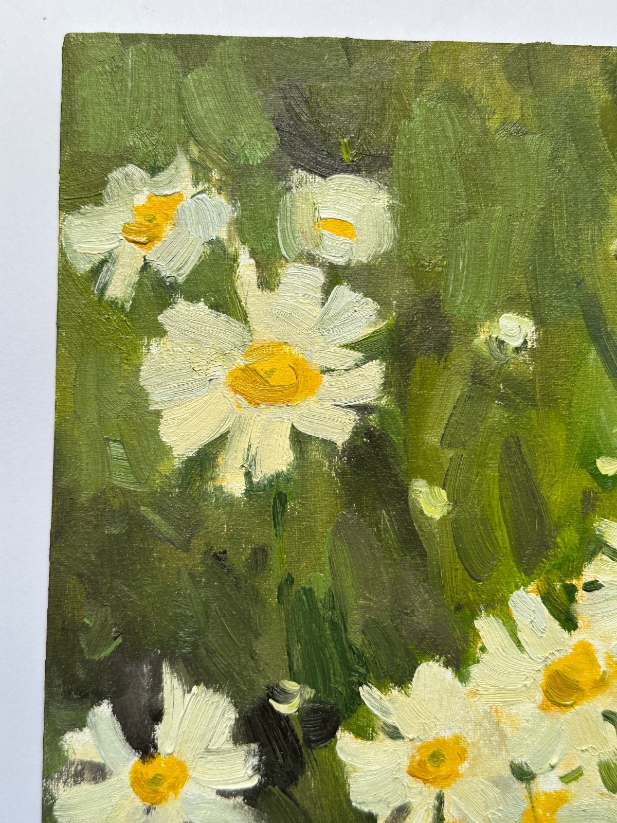 OIL PAINTING | Original art | Floral painting | White daisies | Impressionism