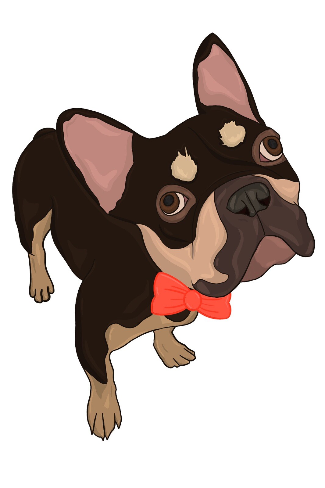 Dog Portraits
