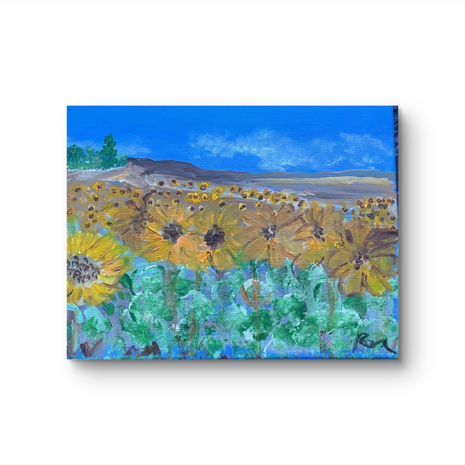 Peaceful Field Summer 11 X 14″ Charcoal Acrylic Paint Canvas Impressionism