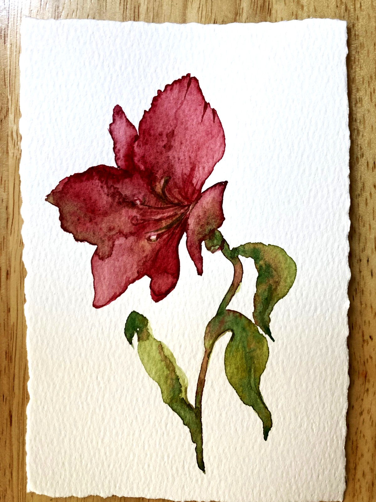 Lily Flower Watercolor Original Artwork Floral