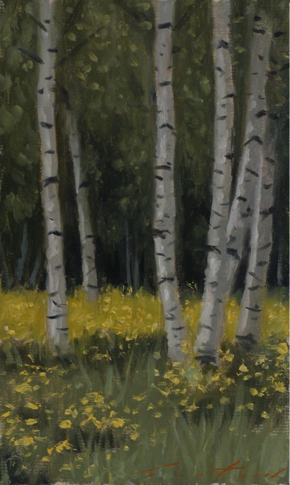 Birch Trees – Original Oil Painting On 6″ X 10″ Canvas Board –
