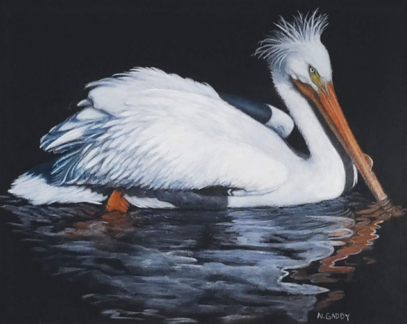 Original White Pelican 14 x 11 Colored Pencil Paper Matted Art