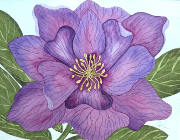 PAINTING WATERCOLOR 11X14 AND MAT 16X20 FLOWER HELLEBORE PURPLE PINK MAROON ART