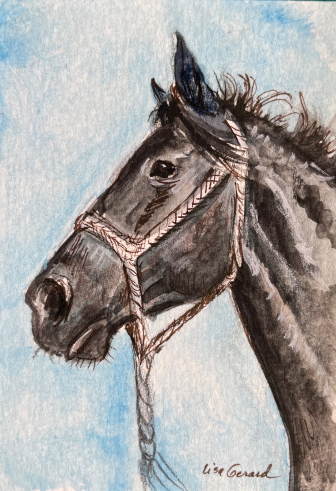 ACEO original watercolor – black horse in halter- 3.5 by 2.5 inches