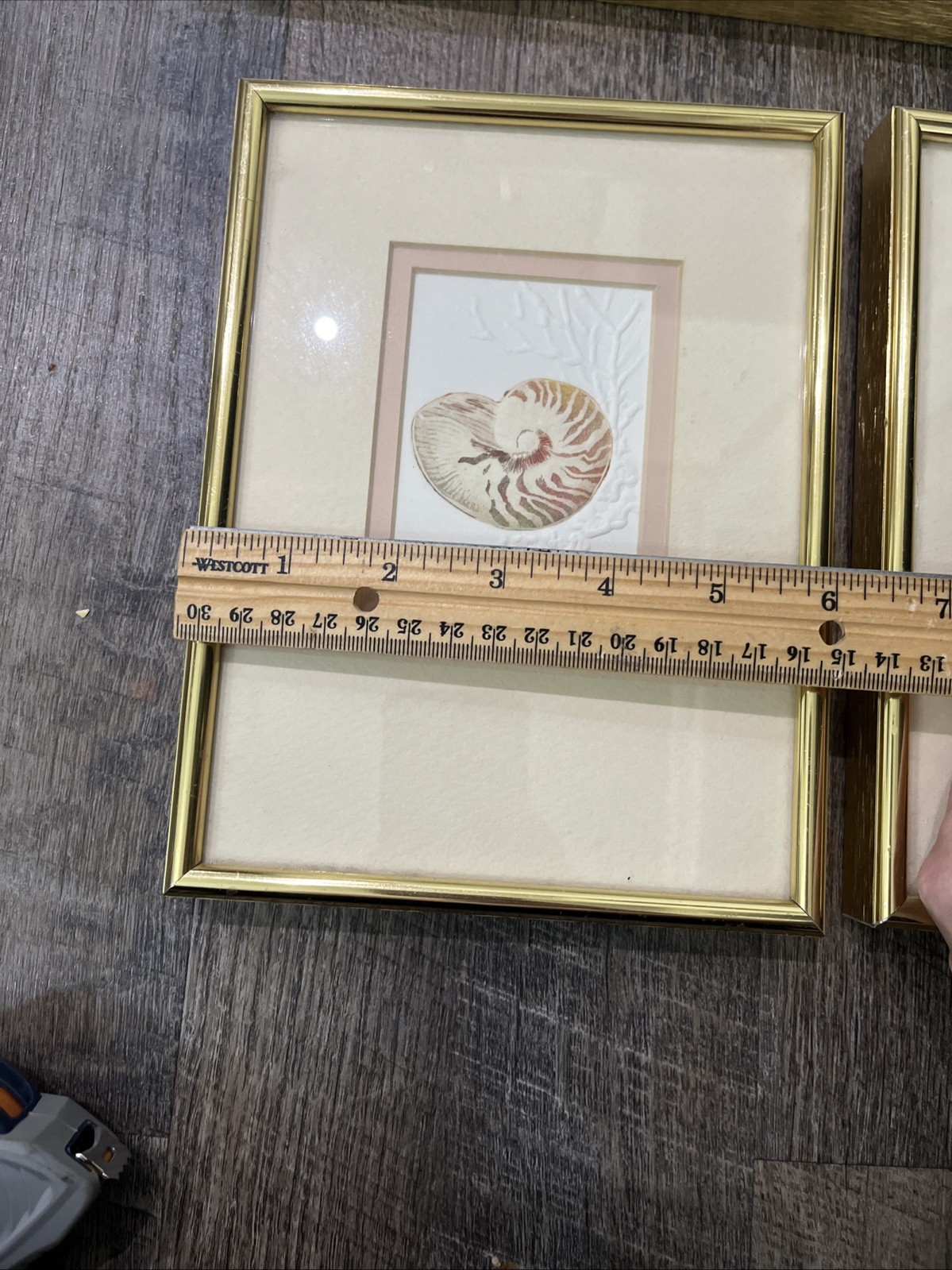 3 Vtg Matted Framed Signed And Dated Embossed Paper With Watercolor Seashells