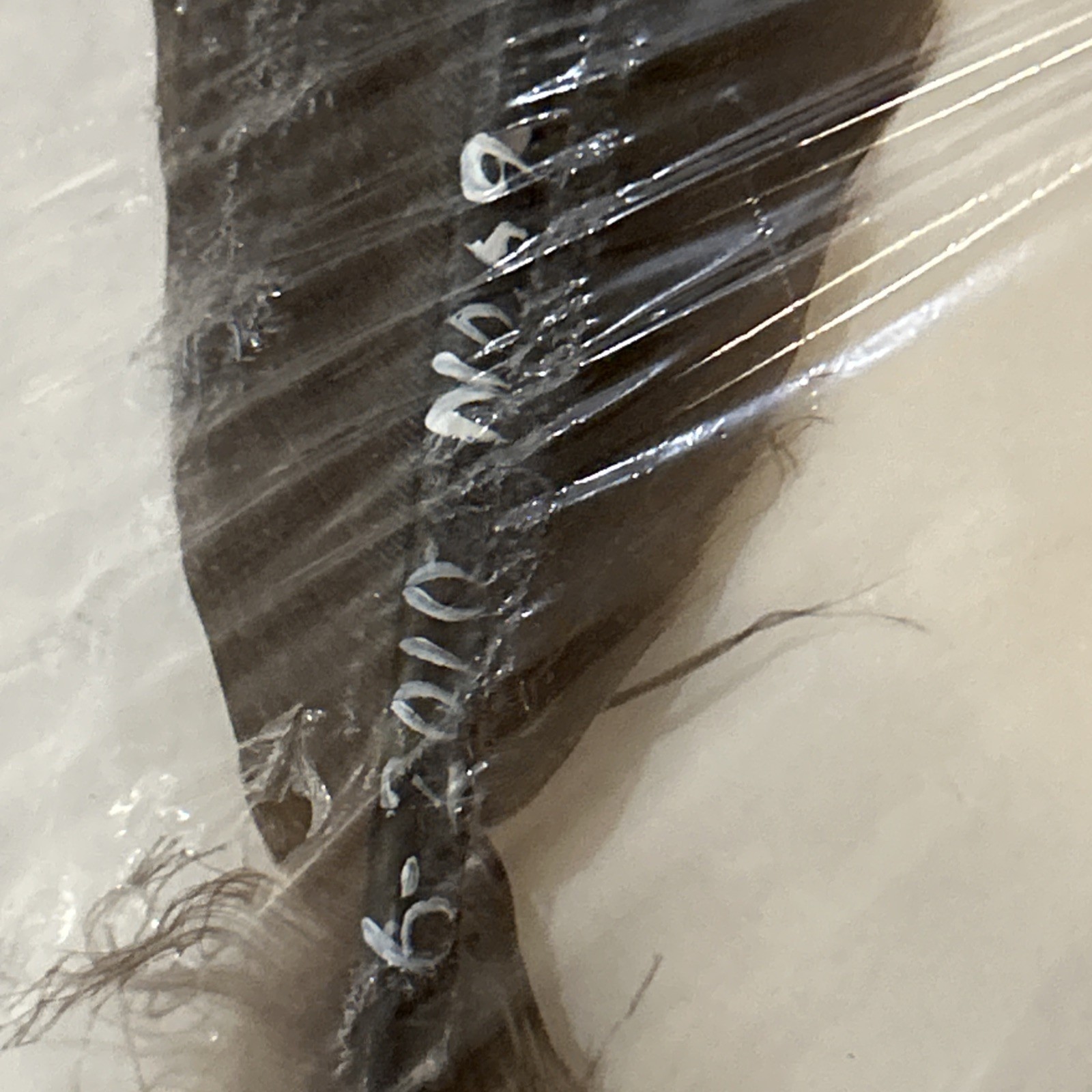 Hand Painted Turkey Feather. Signed Marte Erb. School Auction 6/18/2010. No. 69.