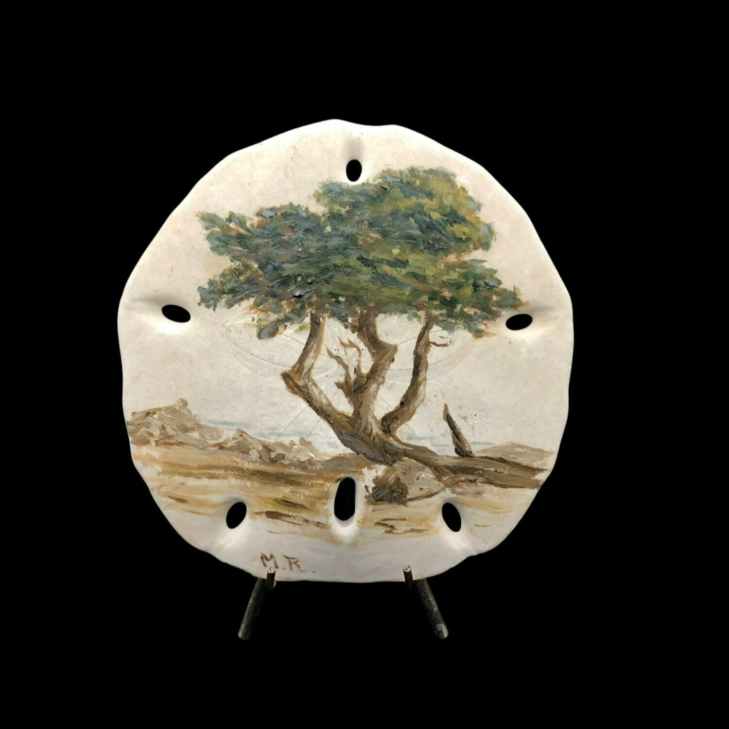 Hand-Painted Sand Dollar Art Monterey Cypress 4.5 x 5 In. Signed By Artist M.R.
