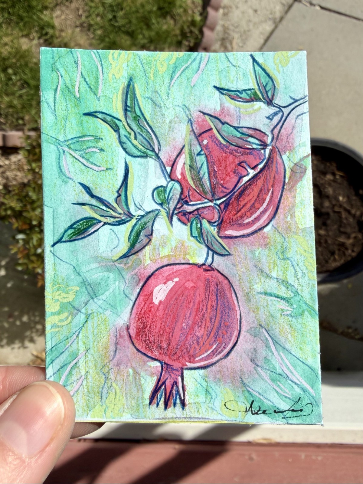 Original ACEO Pomegranates Painting by Alannah Dyer- Mini Art 2.5×3.5 in. Plant