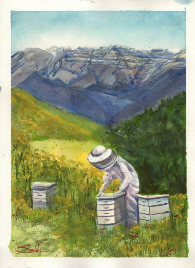 Ojai Beekeeper : Sandra Watercolors™ California : ORIGINAL PAINTING