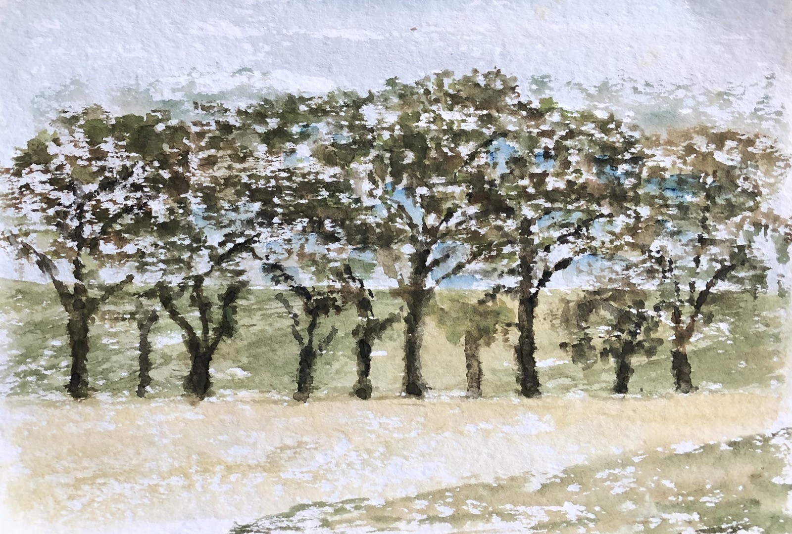 Unknown Impressionist – Grove – Fruit Blossom – Summer – Watercolour – 30X20, 5