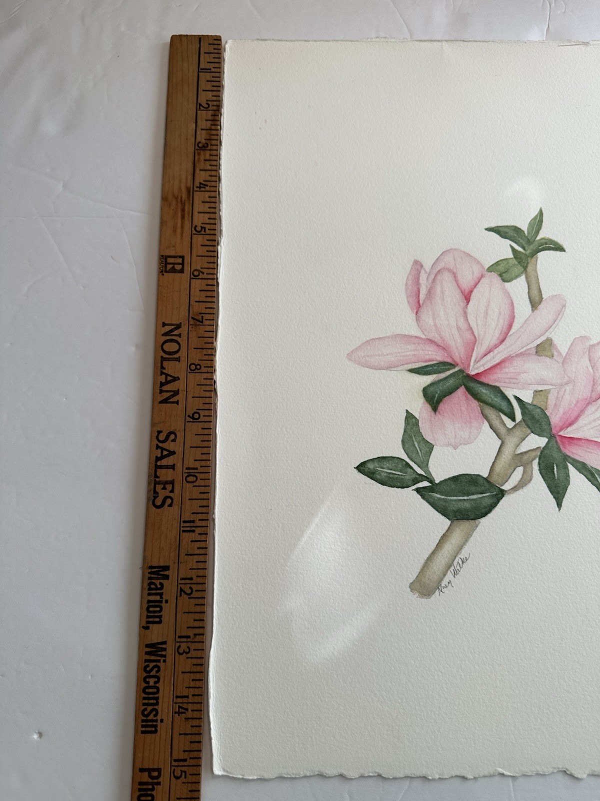 Vtg Pink Magnolia Flowers OOAK Spring Flowers Watercolor Painting CottagecoreArt