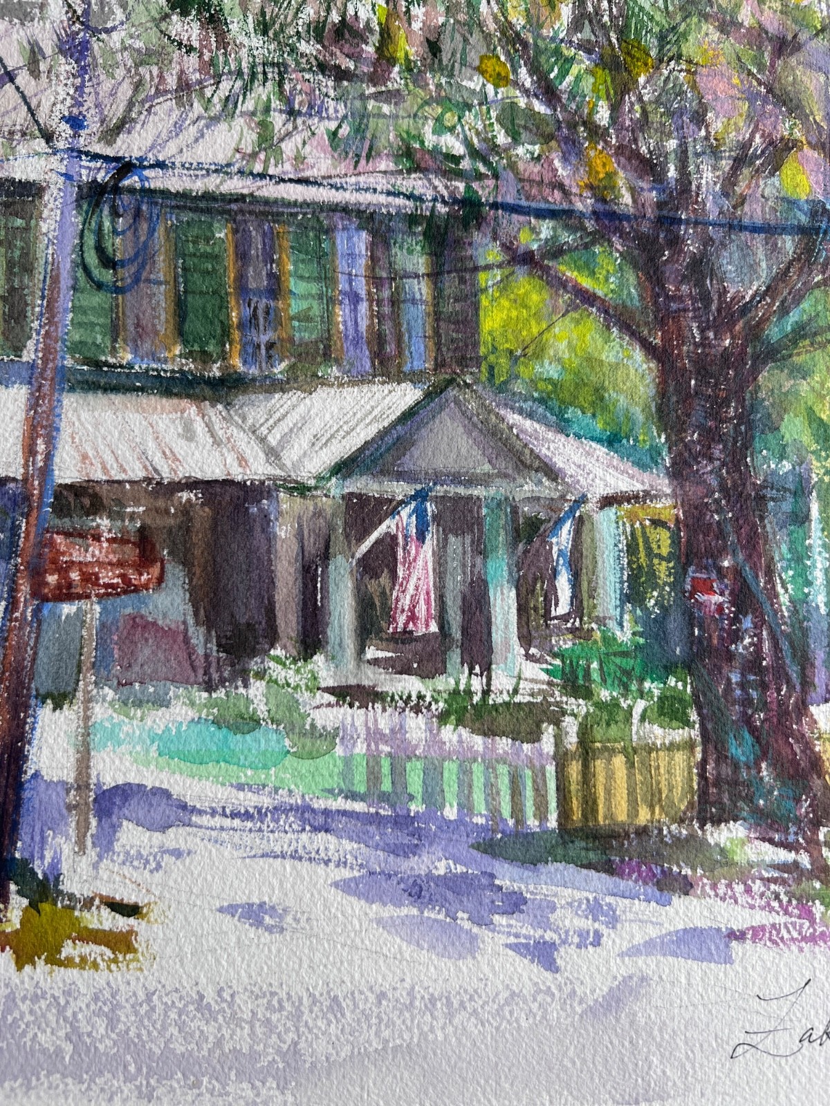 Original Micanopy FL Stewart -Merry House Historic Small Town USA Architecture