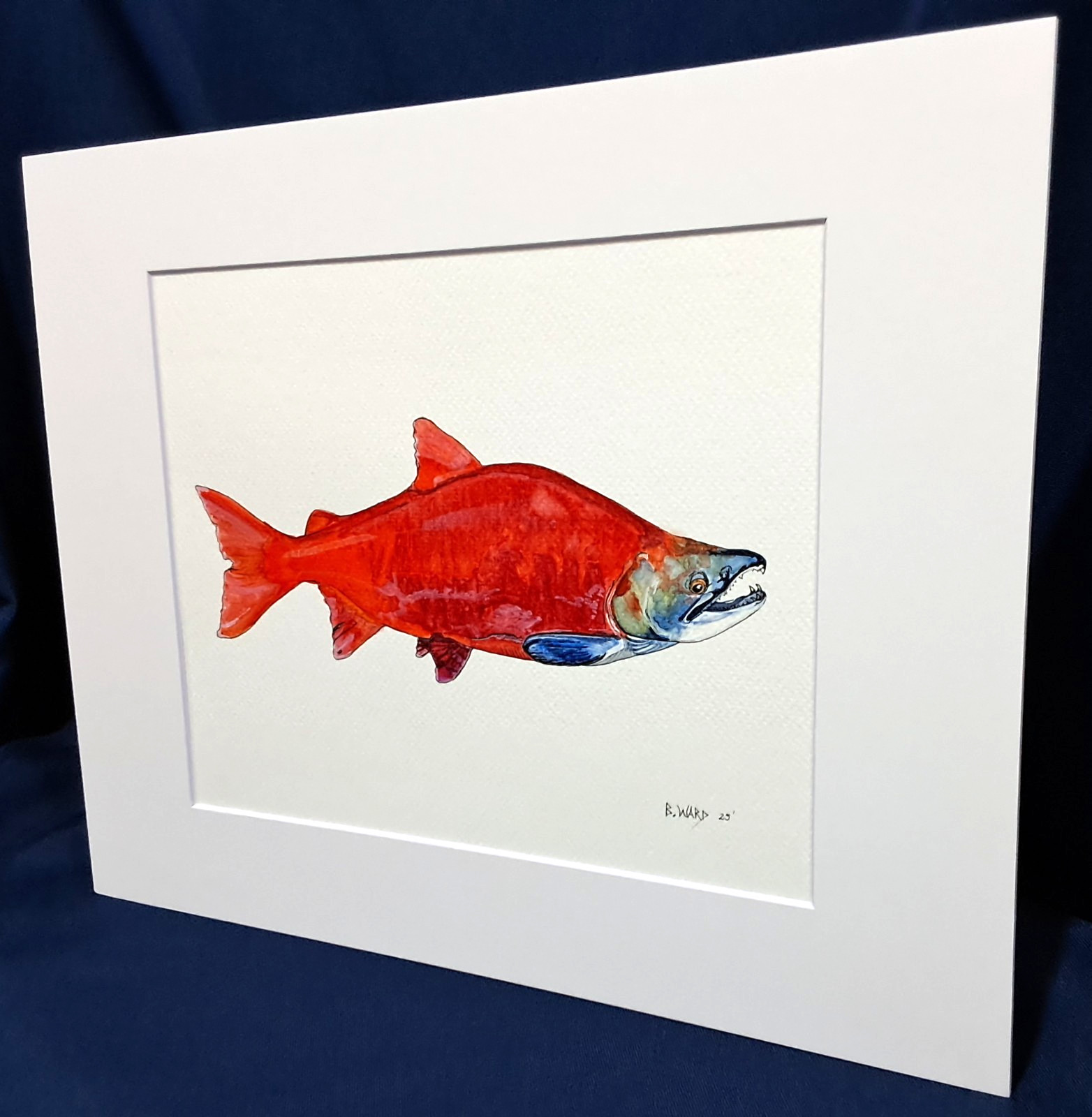 Sockeye Salmon Original watercolor 8″x10″ in 11″x14″ acid free Matt