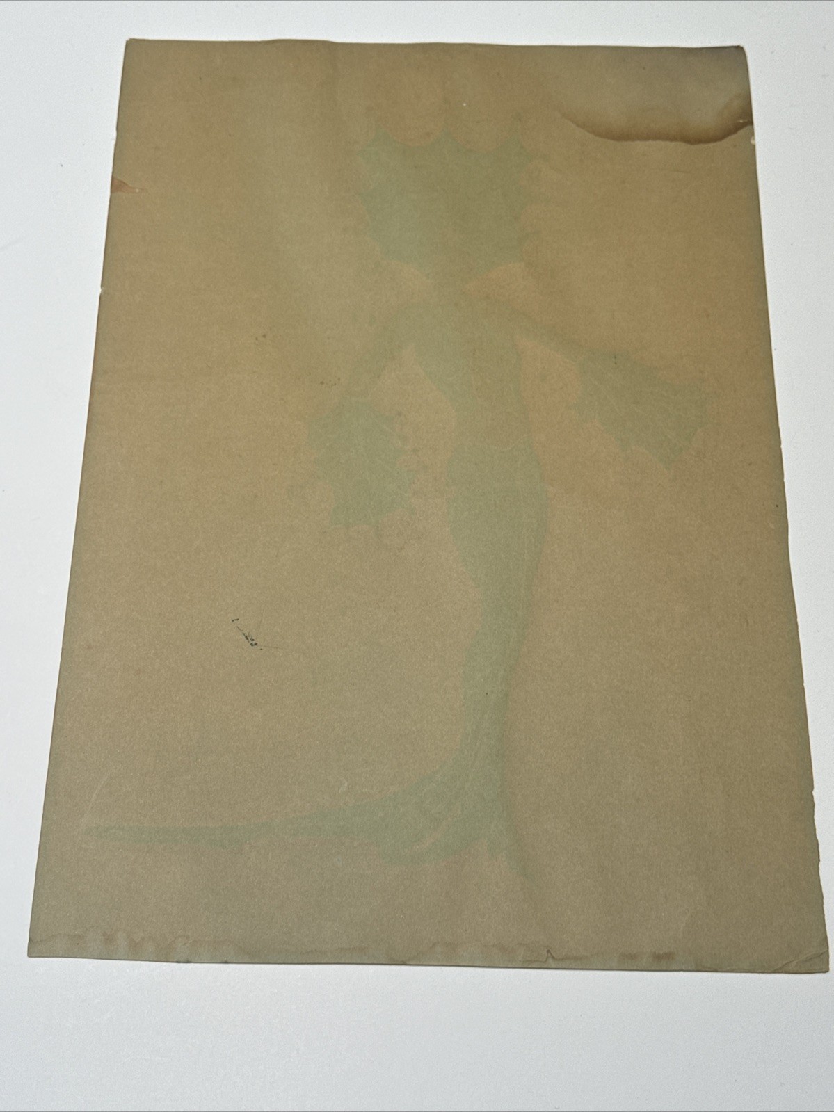 Antique Portrait Painting Woman Female Model Art Deco Fashion Illustration 1926