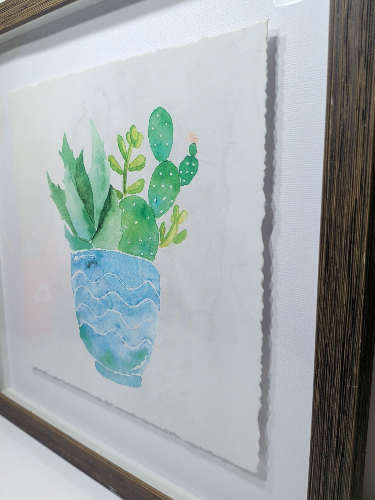 ✨New✨ Floating Framed Watercolor on Paper Succulents 14″X14″ – Framed Artwork