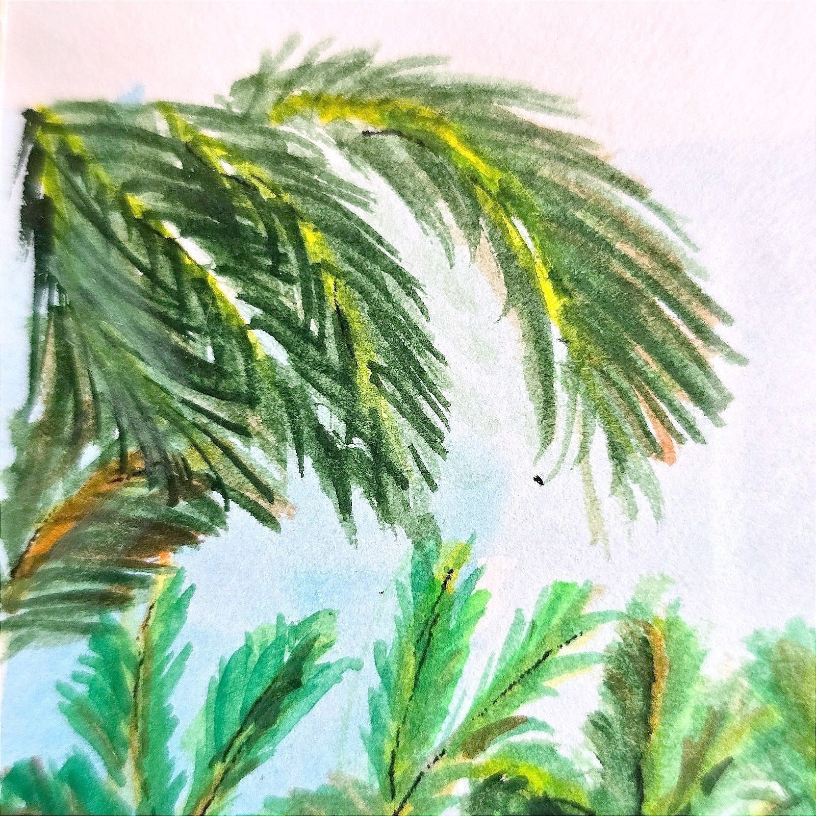 VTG Key West Art «Nine One Five» Restaurant Watercolor Signed YAV 1996 Framed FL