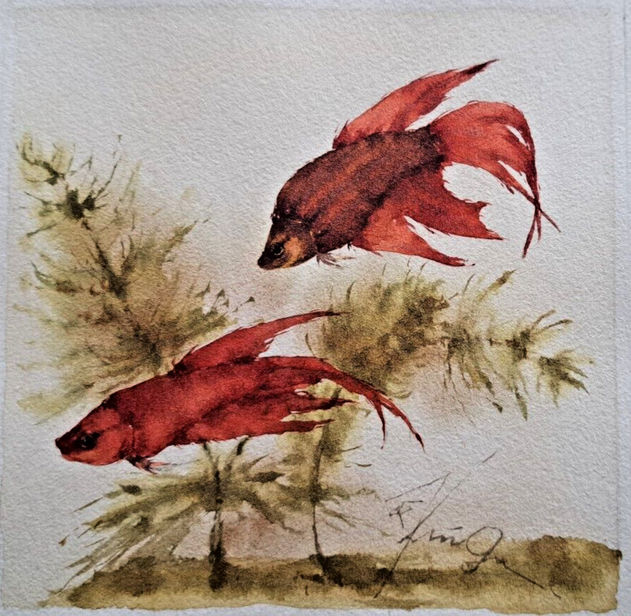 Krüger Betta splendens fighting fish watercolour signed fish