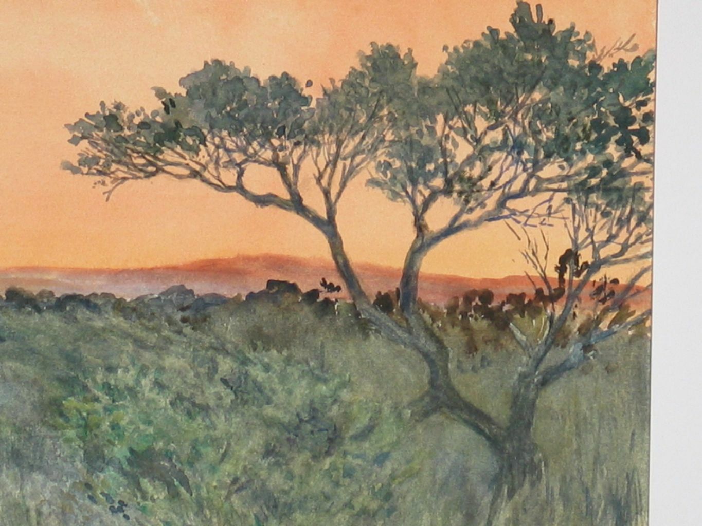 John Flexmore Watercolour, ‘A Bush Sunset’, Unframed