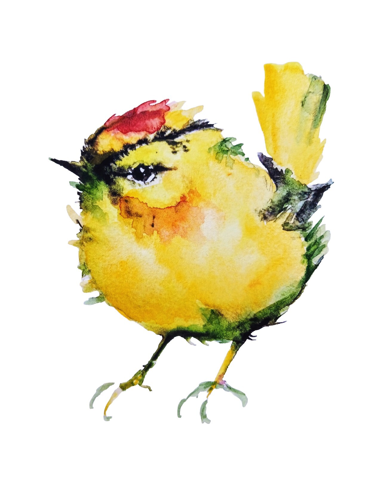 Yellow tit Bird art watercolor painting signed,nature lover unique gift