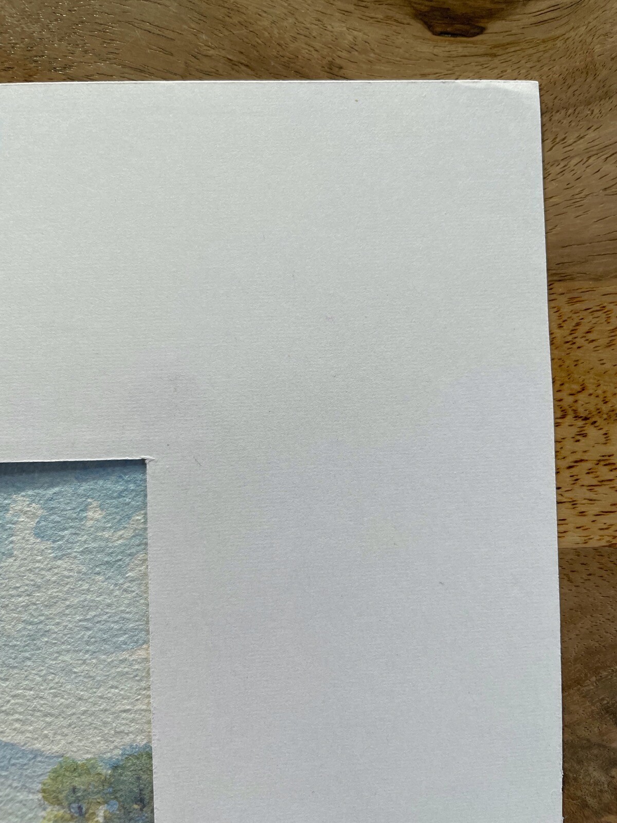 DEUTSCHER MALER SOMMERLANDSCHAFT MIT KLEINEM DORF AQUARELL KRAUSE 1982