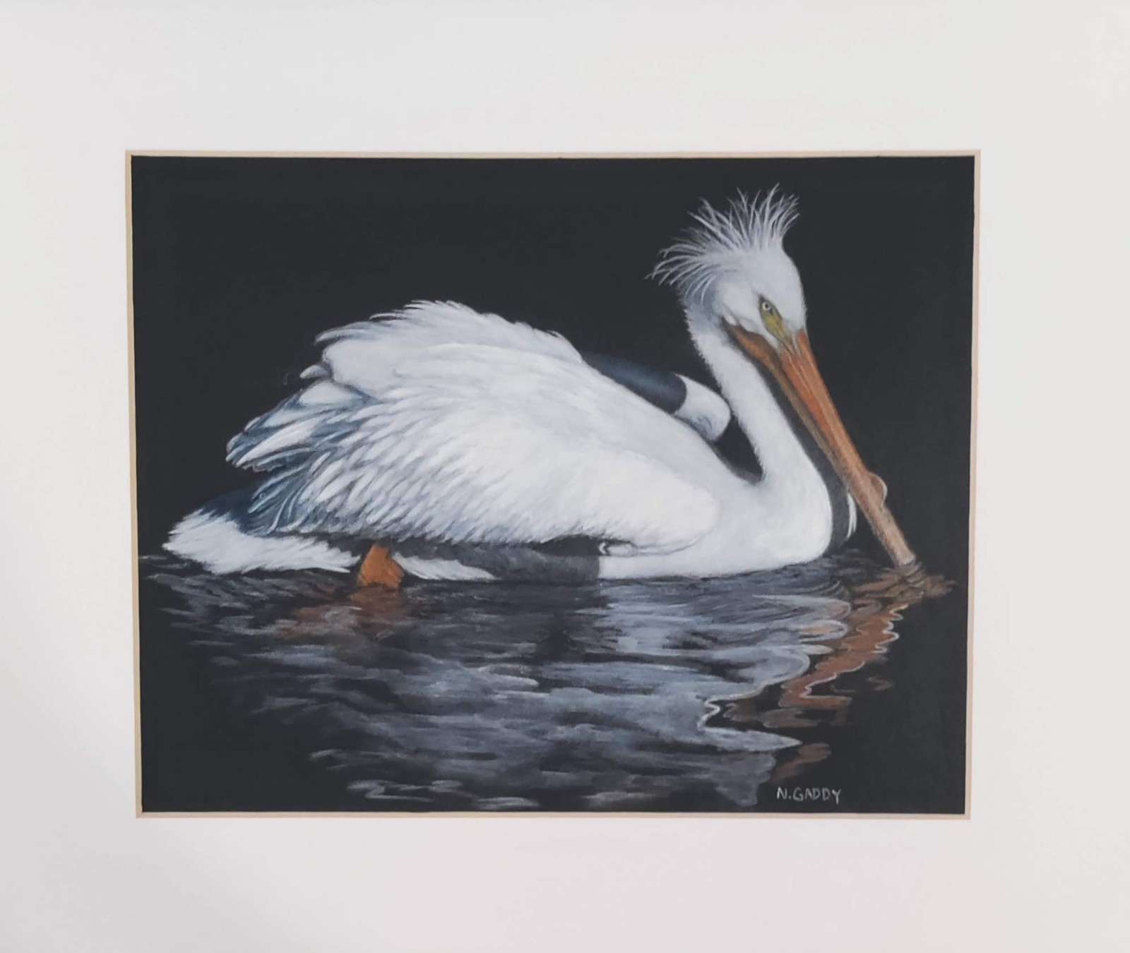 Original White Pelican 14 x 11 Colored Pencil Paper Matted Art