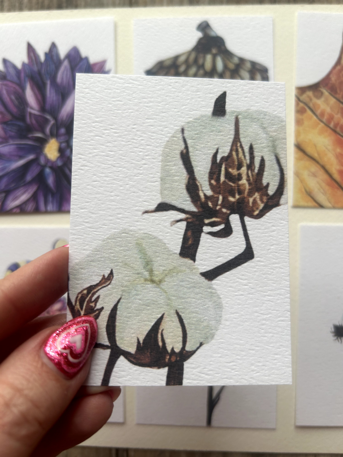 ACEO Edition- Print Sawyer Crane Flower Watercolor Cotton Plant West Texas