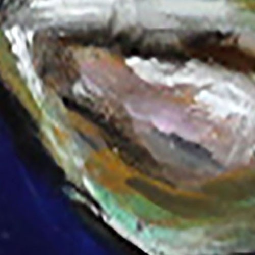 Demenko Natalia still life OYSTER Oil painting UKRAINE 8X12