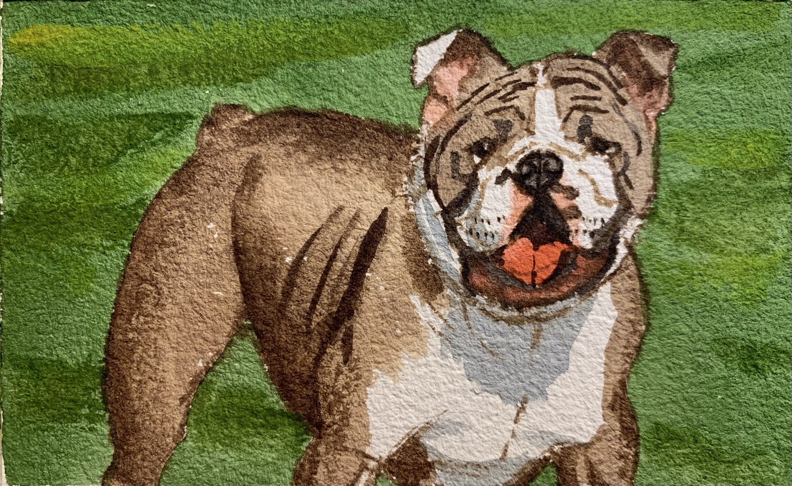 Custom pet portrait commission original watercolor painting sympathy gift art