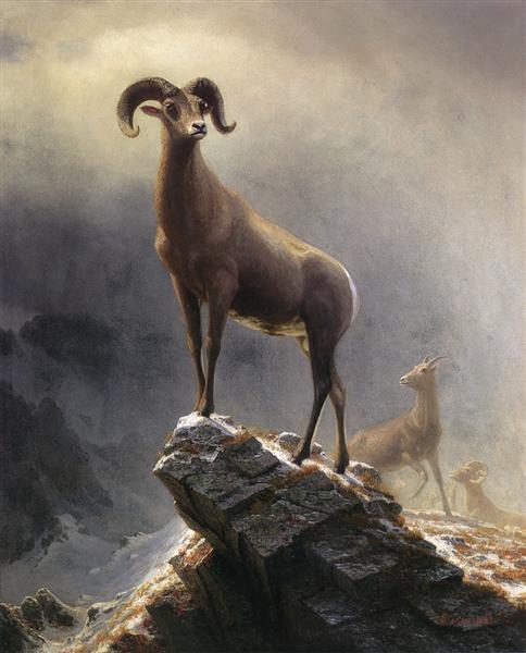stunning oil painting handpainted on canvas- Rocky Mountain Sheep