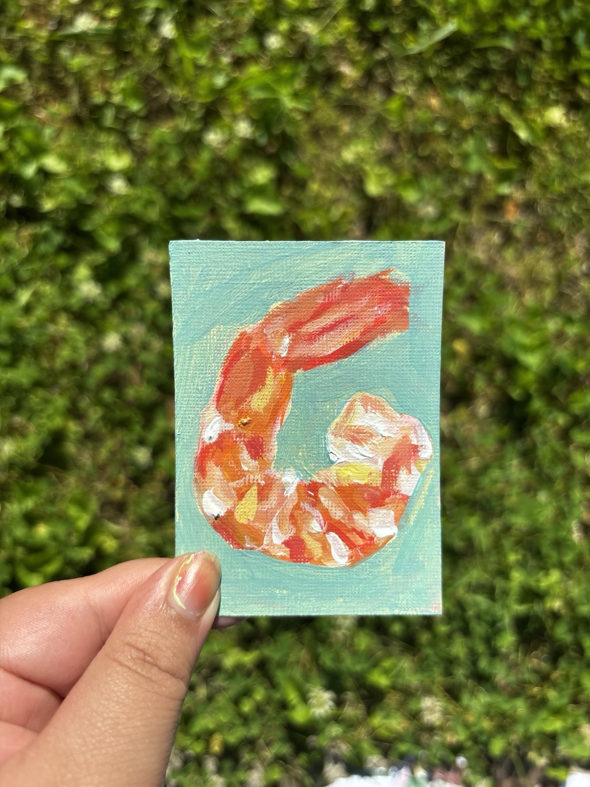 ACEO Shrimp Sea Food original miniature still life acrylic painting Fish Art