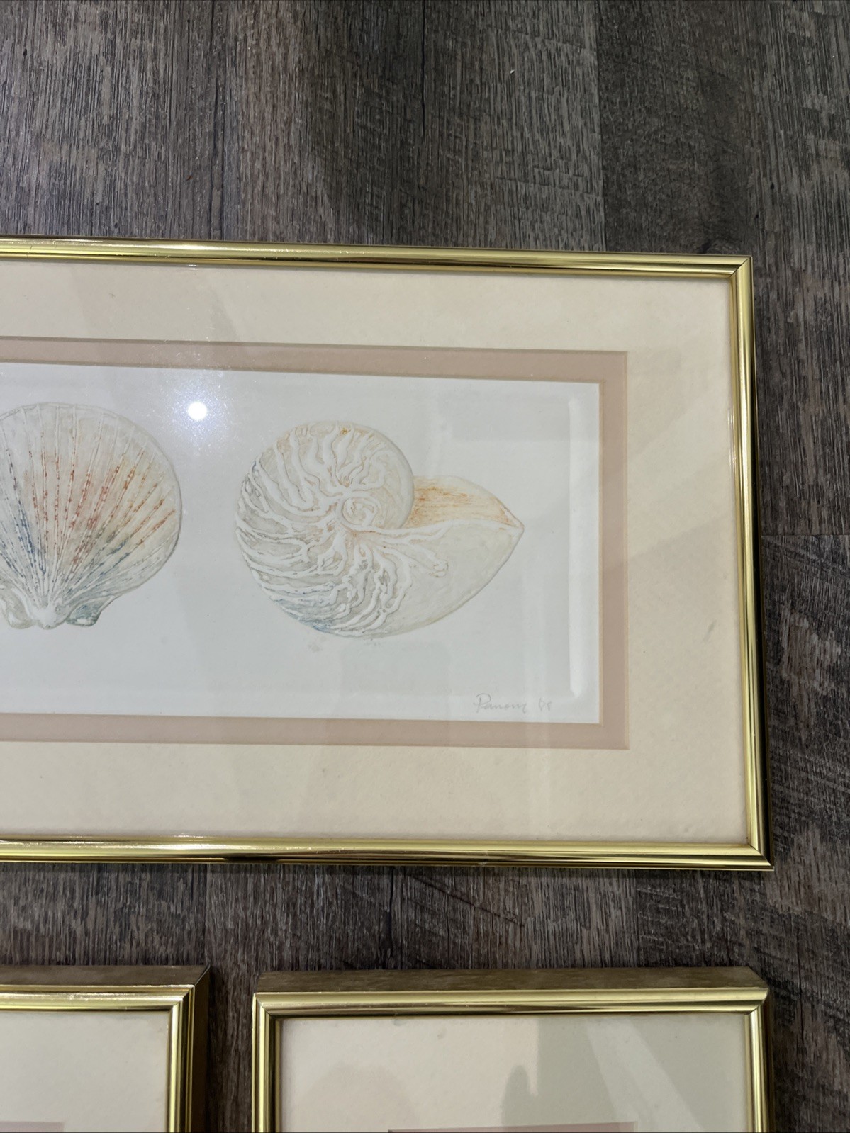 3 Vtg Matted Framed Signed And Dated Embossed Paper With Watercolor Seashells