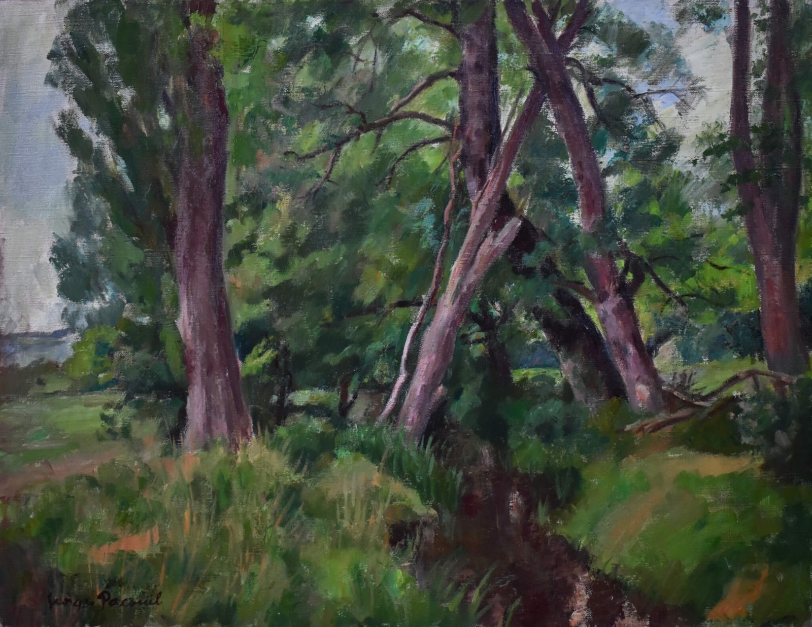 1950 Forest Stream Landscape Oil Painting French Provence Signed Georges Pacouil