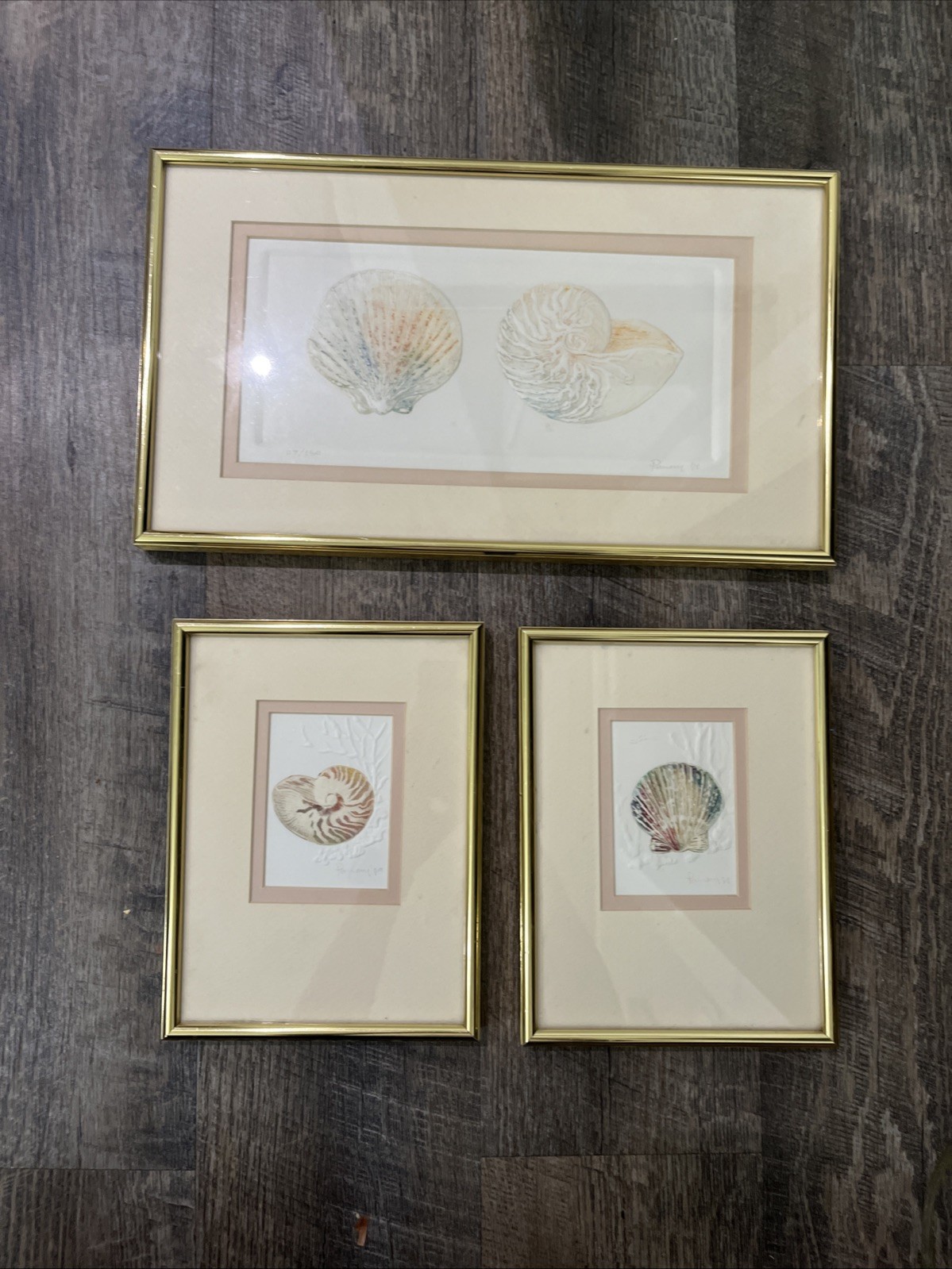 3 Vtg Matted Framed Signed And Dated Embossed Paper With Watercolor Seashells