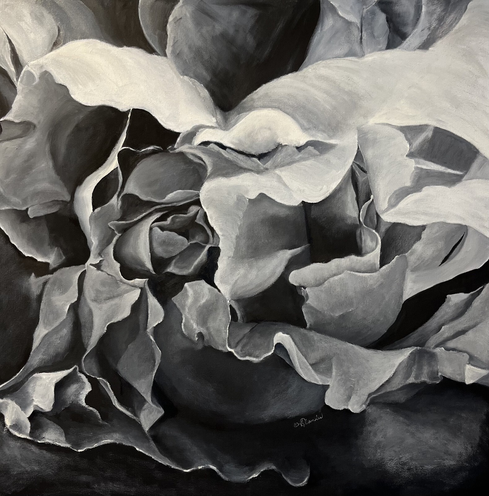 Rose in Black and White 36″ x 36″ Oil Painting Original w/ cert of authenticity