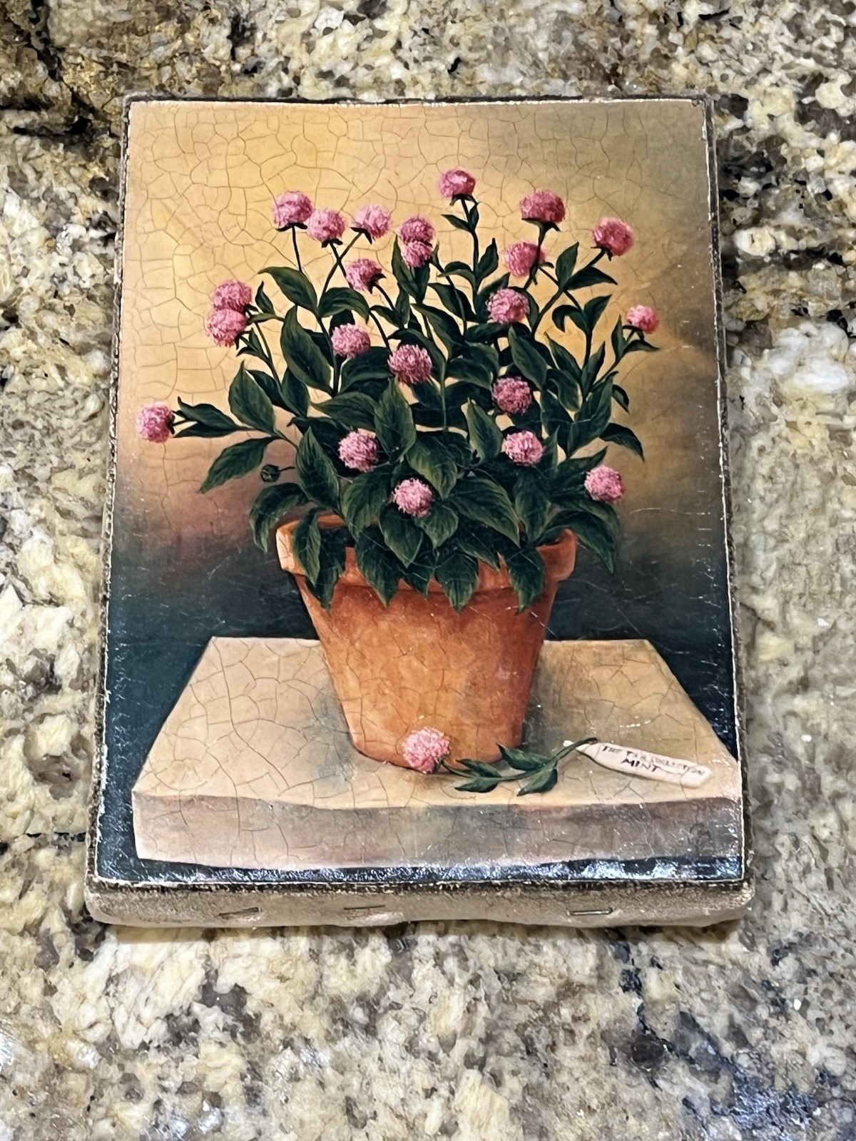 Signed European Pink Globe Amaranth Flowers Terracotta Pot Oleograph Framed Art