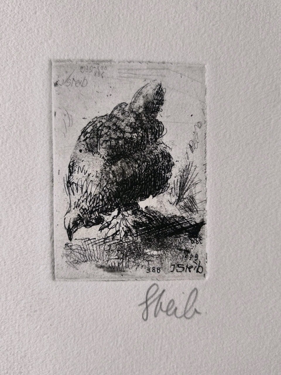 Antique/ Vintage drawing by Josef Steib etching and drypoint, Germany, 1939