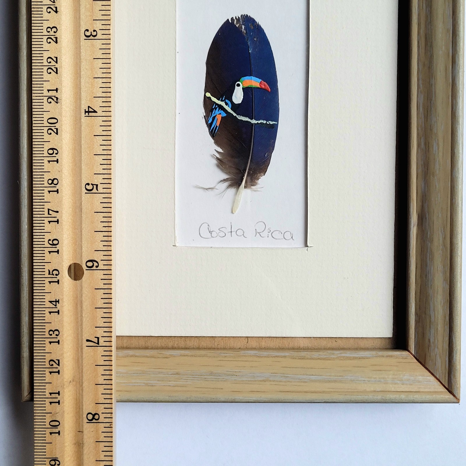 Unique Hand Painted Dark Blue Small Feather Art Toucan Bird Costa Rica Framed