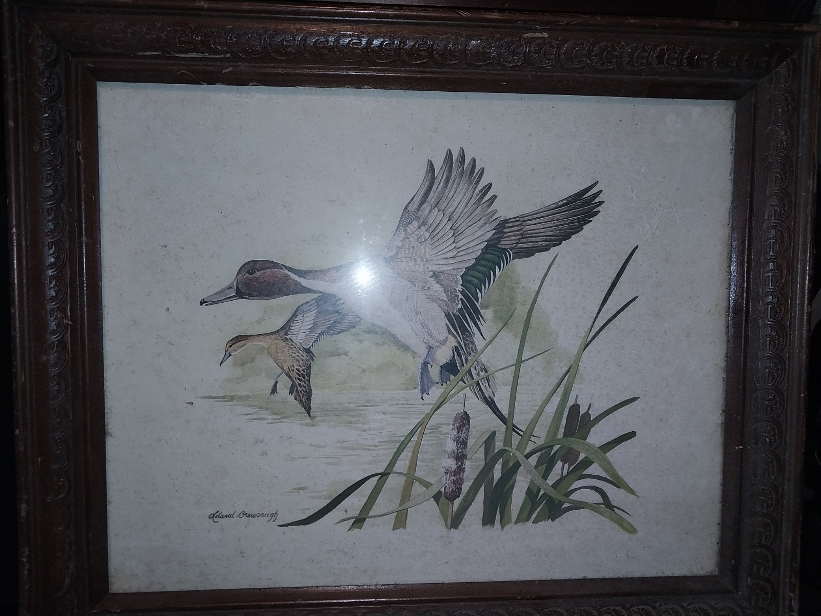 Aland Brunsaugh Hand Signed Framed Painting Ducks Birds Nature 22×18