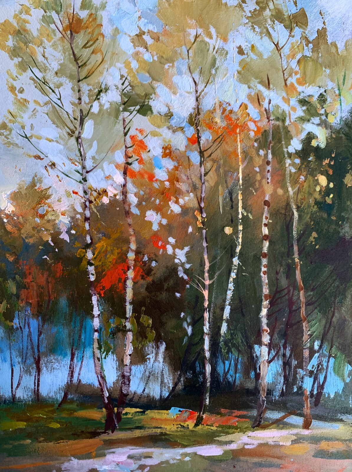 Oil Painting Birch Autumn Forest Y. Suprunchuk Unframed Original nAAA3601