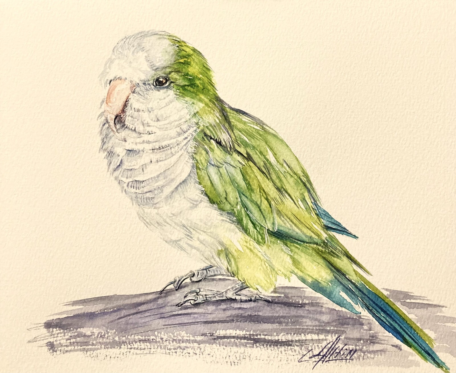 Parrot Green Bird Watercolor Original Painting