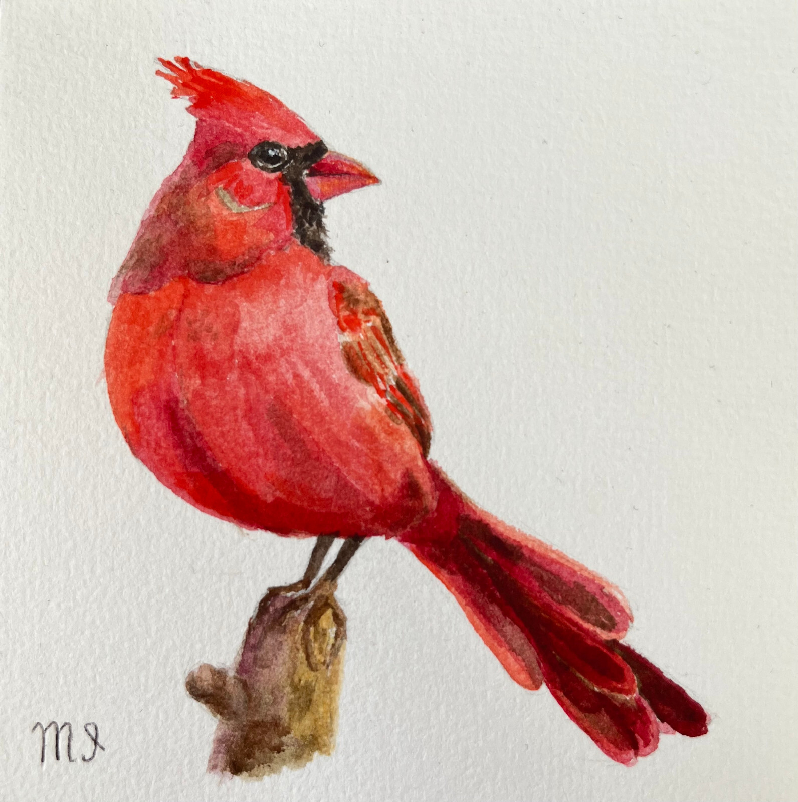 Original Painting Red Cardinal Watercolor Bird Painting Red Bird Realism 4×4″