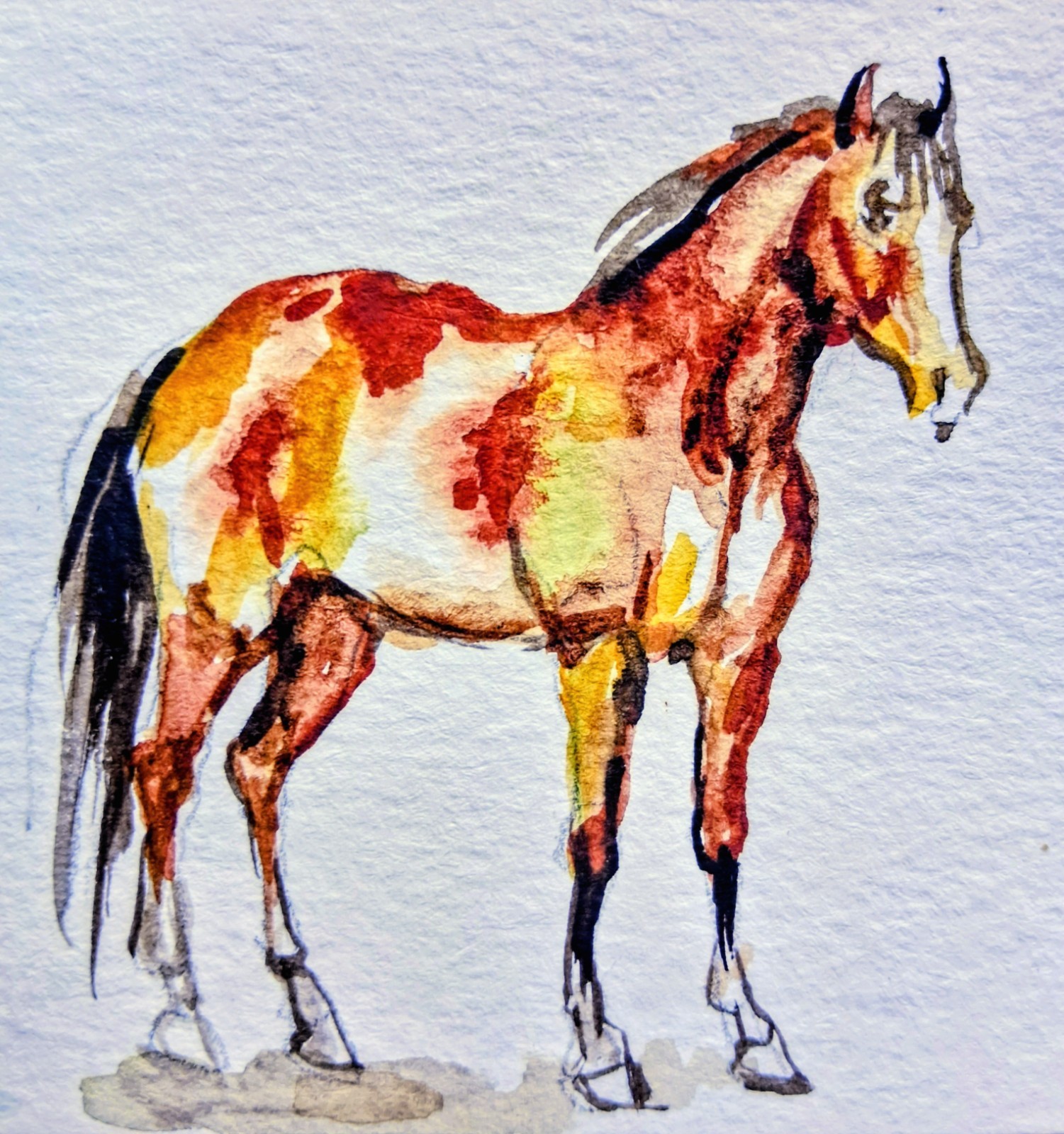 Stallion Running art,original Watercolor painting Signed,Horse Lover gift 3×3″