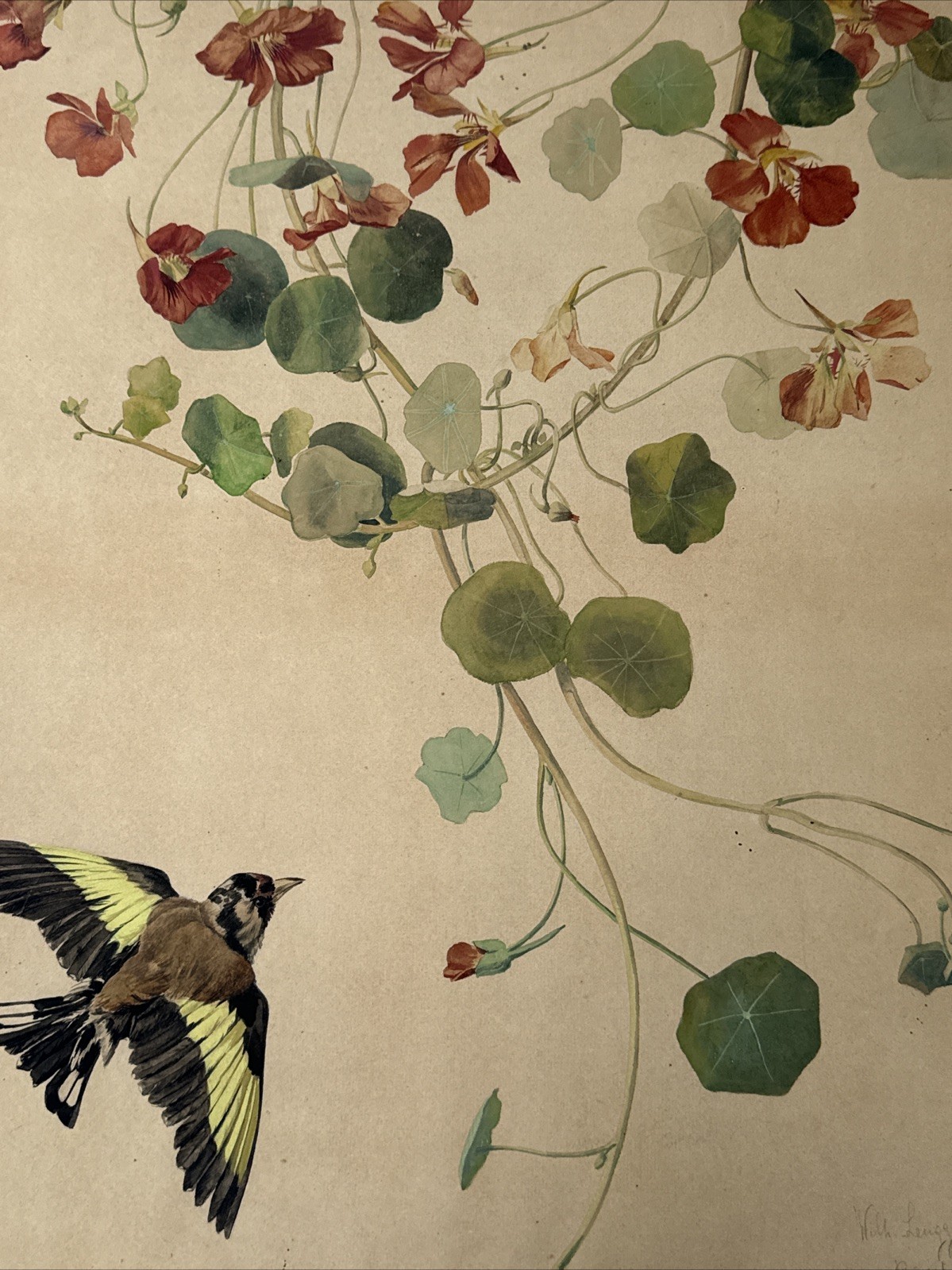 INCREDIBLE 19TH CENTURY PAINTING FLORAL SPECIMEN BIRD LENNGGENHAGER BOTANICAL