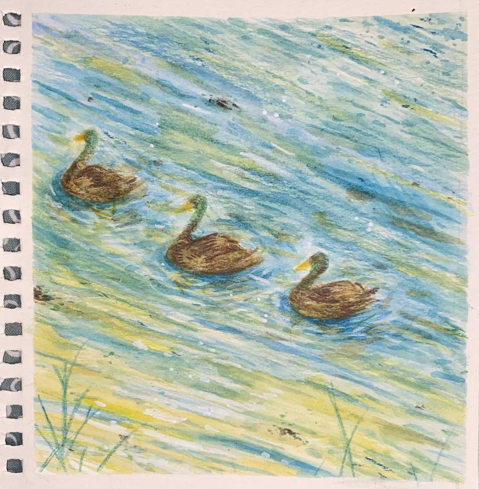 Ducks In Baldwin Park Small Watercolor Painting Landscape Wildlife Original Art