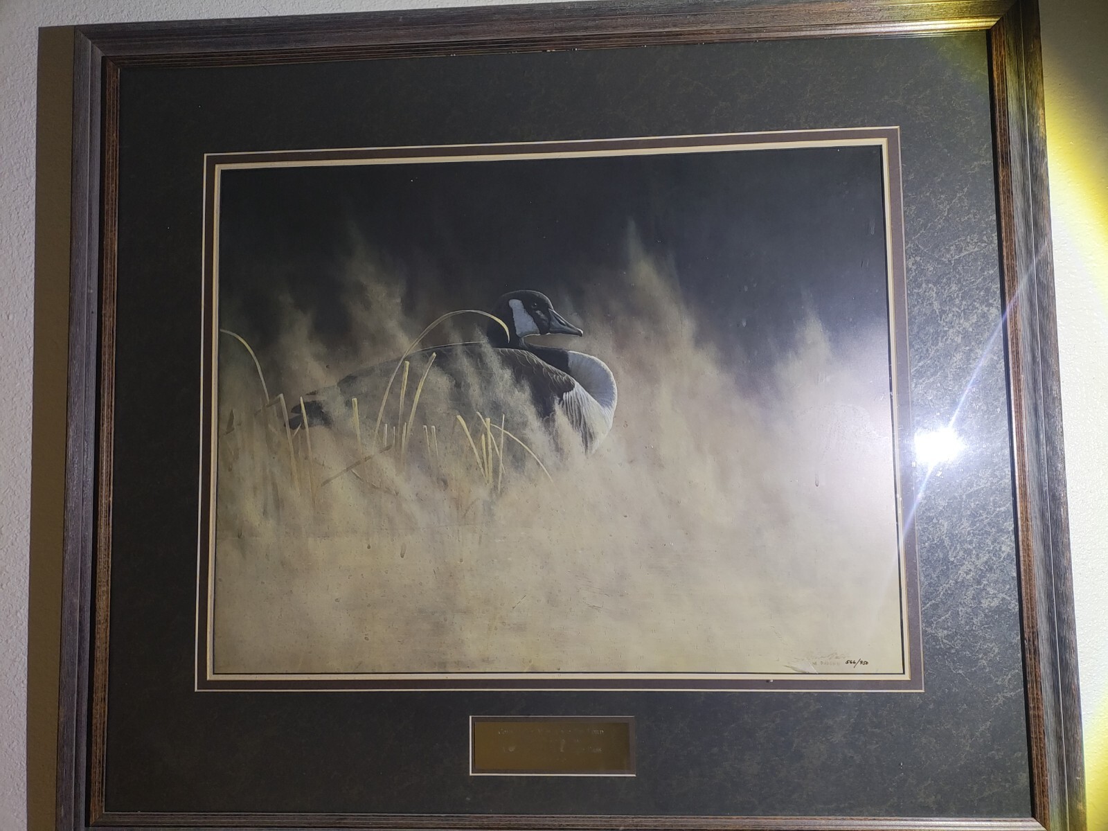 Large Framed Wildlife Painting Of A Waterfowl By Michael budden